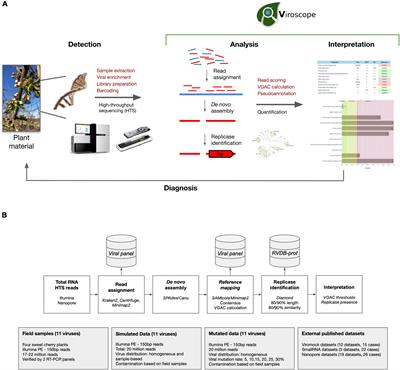 Viroscope: Plant viral diagnosis from high-throughput sequencing data using biologically-informed genome assembly coverage